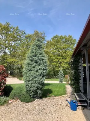 Kuća 1600 m², Tinjan - velika okućnica