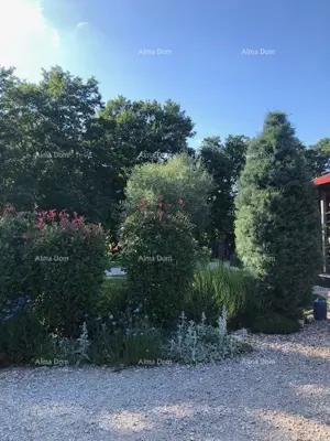 Haus 1600 m², Tinjan - großer Garten - 3