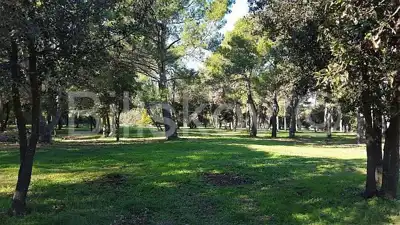 Rovinj, atraktivno građevinsko zemljište turističke namjene - 6
