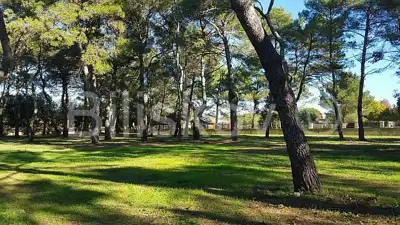 Rovinj, atraktivno građevinsko zemljište turističke namjene - 5