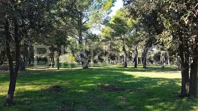 Verkauf, Rovinj, attraktives Baugrundstück für touristische Zwecke - 6