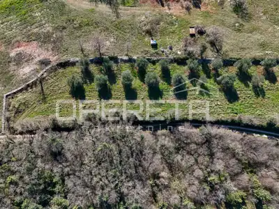 Peruški, Peruški, 3.198,00 m², 250.000,00 EUR - 7