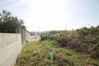 Kaštel Štafilić, poljoprivedno zemljište 3659 m², prodaja - 2