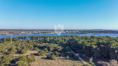 Građevinsko zemljište 1.501 m², Banjole - 300 m od mora - 4