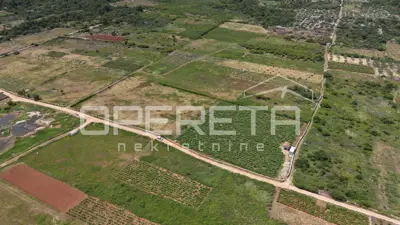 Agricultural land 5,000 m², Stari Grad - vineyard - 7
