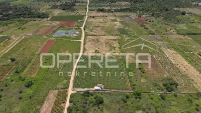 Landwirtschaftsfläche 5.000 m², Stari Grad - Weinberg