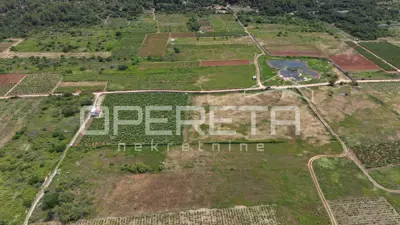 Agricultural land 5,000 m², Stari Grad - vineyard - 8