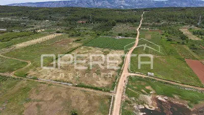 Agricultural land 5,000 m², Stari Grad - vineyard - 4