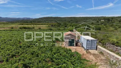 Agricultural land 5,000 m², Stari Grad - vineyard - 12