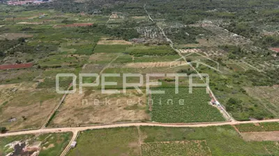 Agricultural land 5,000 m², Stari Grad - vineyard - 2