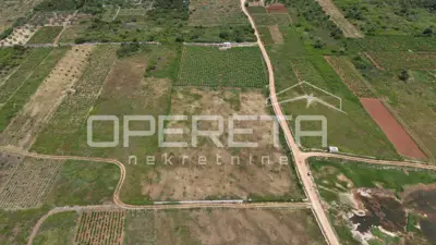 Agricultural land 5,000 m², Stari Grad - vineyard - 5