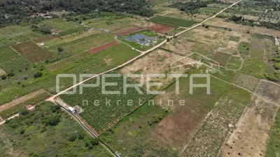 Agricultural land 5,000 m², Stari Grad - vineyard - 3