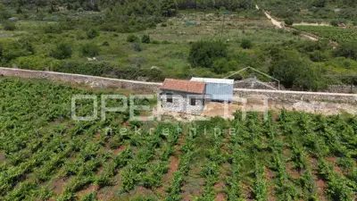 Agricultural land 5,000 m², Stari Grad - vineyard - 11