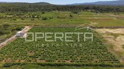 Agricultural land 5,000 m², Stari Grad - vineyard - 9