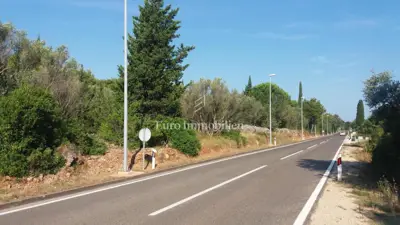 Building plot with sea view, 190 m from the sea, island of Pašman - 2
