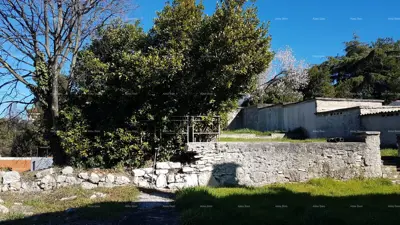 Pula! House with two apartments and a large garden. Proximity to Mup. - 4