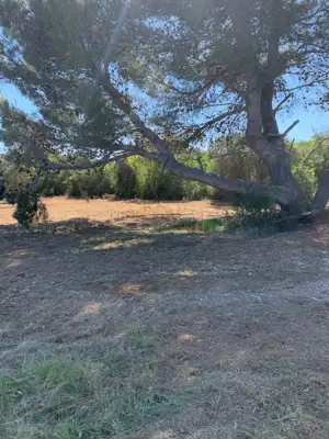 Zemljište 647 m², Ližnjan - rub naselja uz urbanizaciju - 2