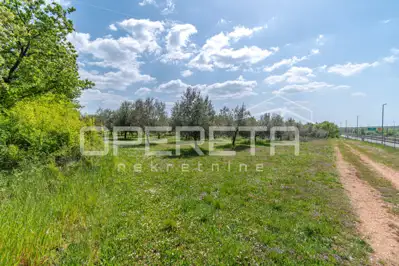 Poljoprivredno zemljište 14.180 m², Baderna kod Poreča, maslinik - 2