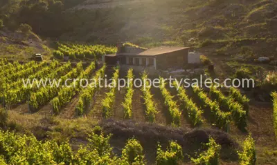 Imanje 27.200 m², Vis - uz cestu iznad pješčane uvale - 6