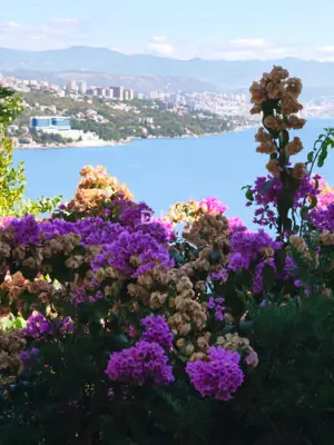 Opatija, 1-room apartment Ginko, 35 m², rental - 10