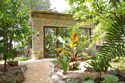 Opatija, 1-room apartment Ginko, 35 m², rental