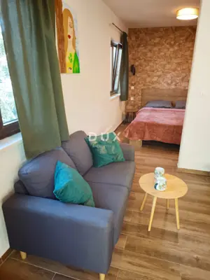 Opatija, 1-room apartment Ginko, 35 m², rental - 2