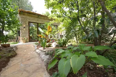 Opatija, 1-room apartment Ginko, 35 m², rental - 7