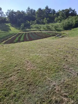 Land 2,084 m², Svetvinčenat - building and agricultural - 2
