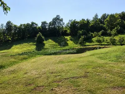 Land 2,084 m², Svetvinčenat - building and agricultural