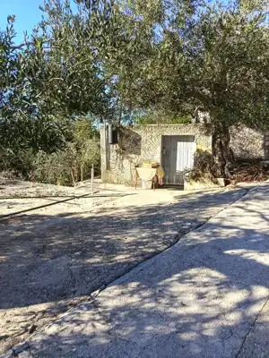 Rab, Kampor, House, 88 m² - 22