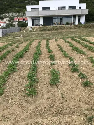 House on Pelješac, quiet area near Orebić, 3 apartments - 4