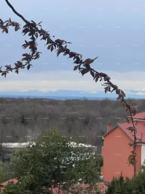 Građevinsko zemljište 3 800 m², Brtonigla - centar i pogled na more