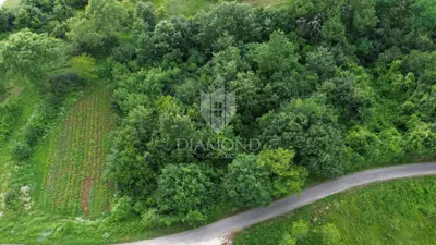 Pićan, surroundings, building plot surrounded by greenery - 2
