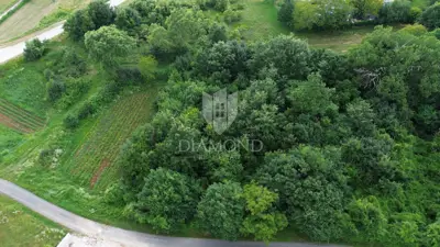 Pićan, surroundings, building plot surrounded by greenery