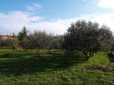Poslovna zgrada 366 m², Ližnjan, centar i investicijski potencijal - 7