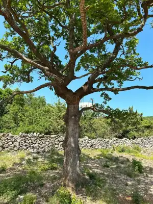 * Veliko građevinsko zemljište sa pogledom na more * - 7