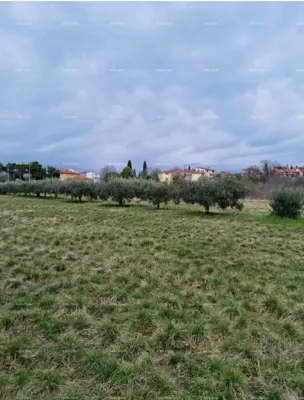 Baugrundstück 990 m², Novigrad, attraktive Lage - 3