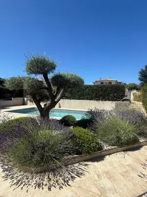 Villa 114 m², Tar - pool and solar panels - 6
