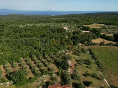 Bauland, Mali Vareški - ruhige Umgebung und Olivenbäume