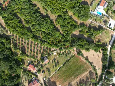 Building land, Mali Vareški - peaceful surroundings and olive trees - 4