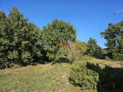 Building land, Mali Vareški - peaceful surroundings and olive trees - 5