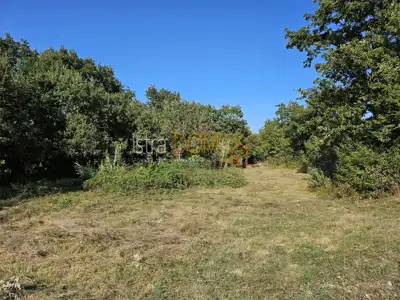 Building land, Mali Vareški - peaceful surroundings and olive trees - 12