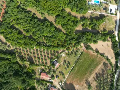 Building land, Mali Vareški - peaceful surroundings and olive trees - 10