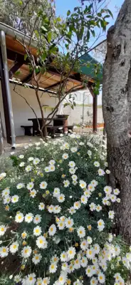 Haus 844 m², Kampor na Rabu - neben dem Strand Mel - 21