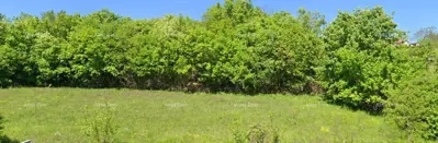 Zemljište 4 168 m², Tinjan - mirna lokacija za gradnju