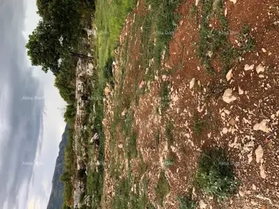 Building land in Bartići near Labin, project for 2 houses - 2