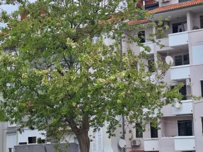 Stan 81 m², Rovinj - izvrsna lokacija u centru grada - 4