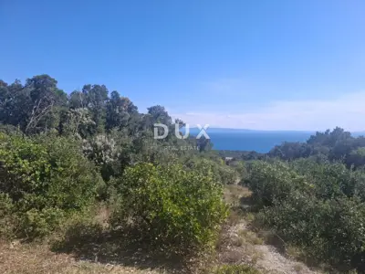 Istra, Pavićini, vikend zemljište, 550 m², 800m od mora