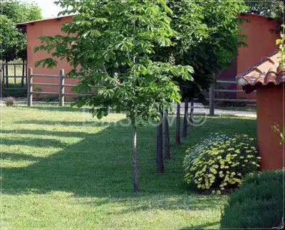 Ližnjan, prekrasno imanje u Istri. - 10