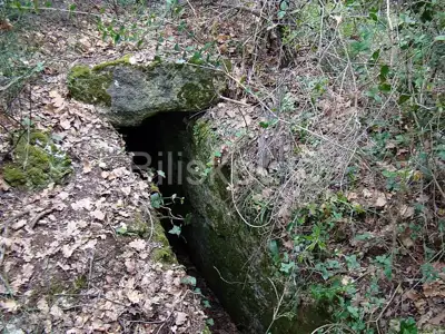 Ližnjan, prekrasno imanje u Istri. - 19